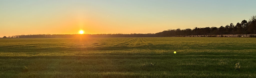 Agriculture Bio Coignières